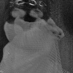 Le donne dalla doppia anima di Angélina Nové