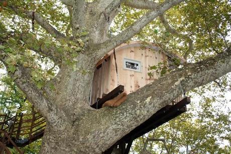 BIOARCHITETTURA | La casa sull'albero a Cernobbio