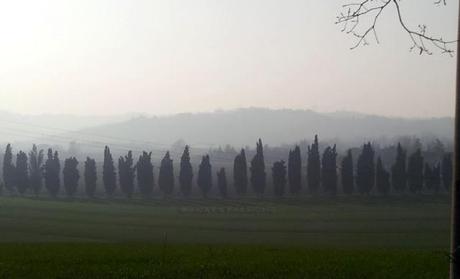 La foto della settimana: San Martino tra nebbia, estate e feste di paese