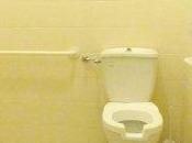 Accessibilità disabili Cinema Teatro Alcione