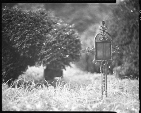 Cimitero abbandonato: Adox CHS 100 vs Adox CHS 100 II