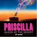 “Priscilla”, musical Palapartenope