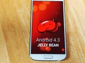 Samsung galaxy riceve Android Jelly bean