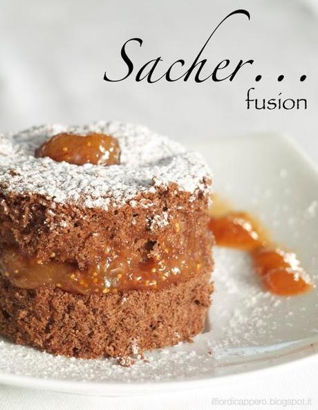 Sacher ... fusion!