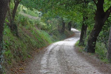 rendez-vous d'automne