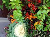 Cerchi ispirazione tuoi vasi