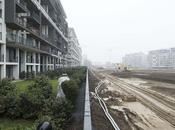 Santa giulia nobis: paesaggio sospeso secondo luca rotondo