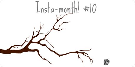 Insta-month! #10