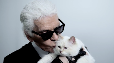 Choupette for Karl Lagerfeld