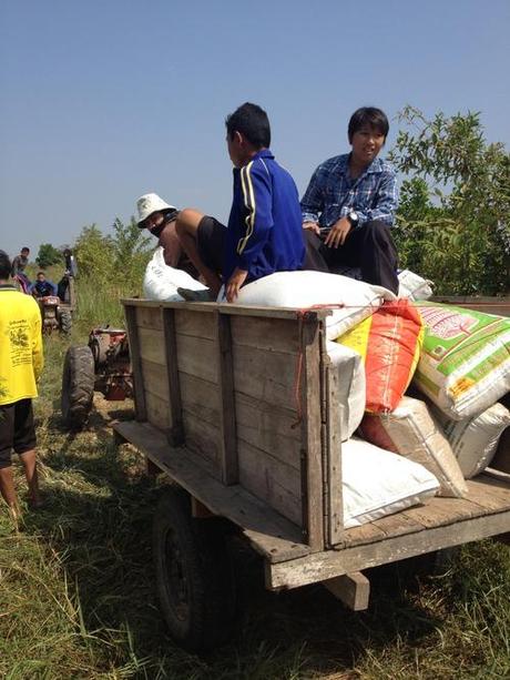 Di generali, colline e agricoltura nella Thailandia del nordest!