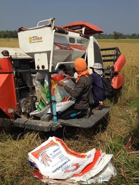 Di generali, colline e agricoltura nella Thailandia del nordest!