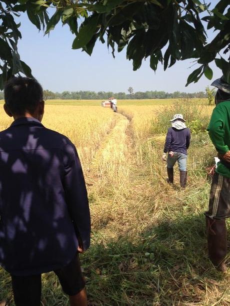 Di generali, colline e agricoltura nella Thailandia del nordest!