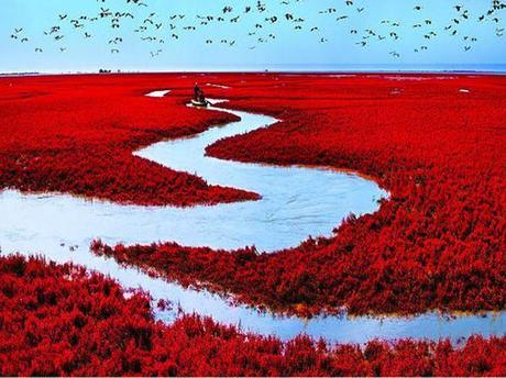 Fotografia della Red Beach