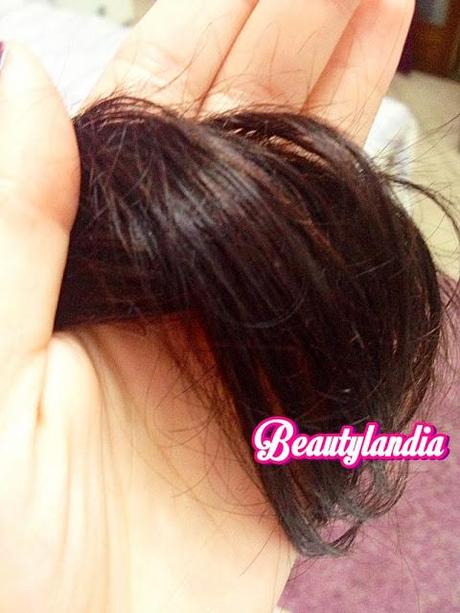 HARIMED - Cura e Colore C6 Rosso Vivo -