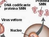 terapia genica