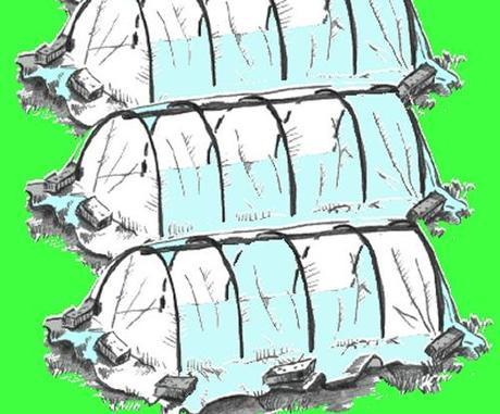 I lavori nell’orto di novembre. Semine, raccolti, compostaggio, pacciamatura, tunnel plastici (2° parte) Sistema di tunnel plastici