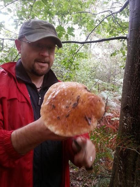 Funghi porcini : foto, racconti e ricette di stefycunsyinyourkitchen