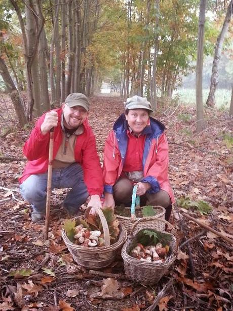 Funghi porcini : foto, racconti e ricette di stefycunsyinyourkitchen