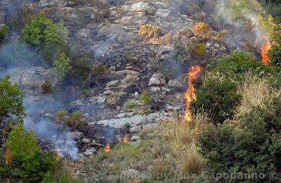 COSTIERA in FIAMME