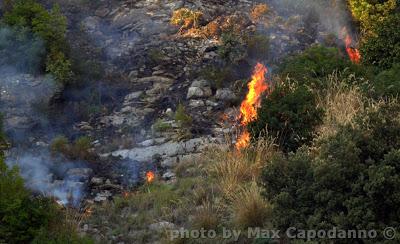 COSTIERA in FIAMME