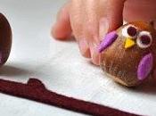 Speciale Autunno: noccio-gufo passione!