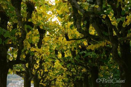 20131108_lugano_DSC_0968