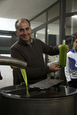 resoconto della raccolta delle olive