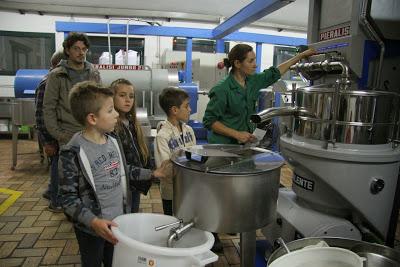 resoconto della raccolta delle olive