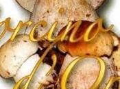 Arzana:”Il porcino d’oro” Novembre 2013