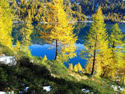 I colori dell'autunno all'Alpe Devero.