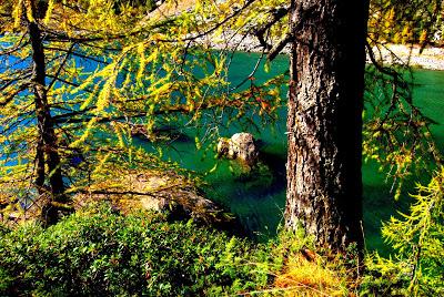 I colori dell'autunno all'Alpe Devero.