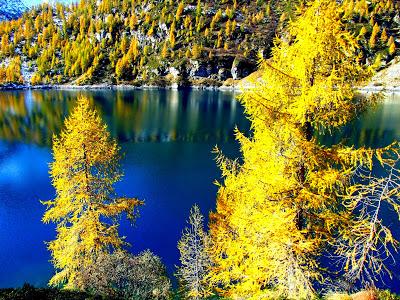 I colori dell'autunno all'Alpe Devero.