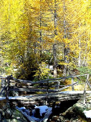 I colori dell'autunno all'Alpe Devero.