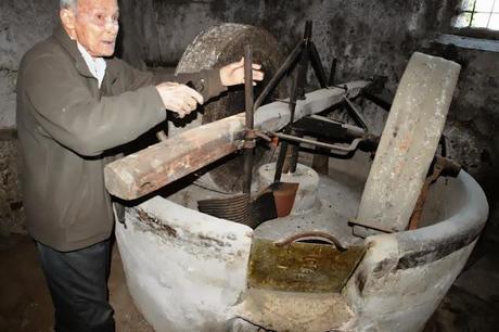 Un tuffo nel passato e nella storia dell’olivo e dell’olio.