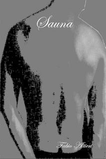 [Recensione] Sauna – Fabio Altieri
