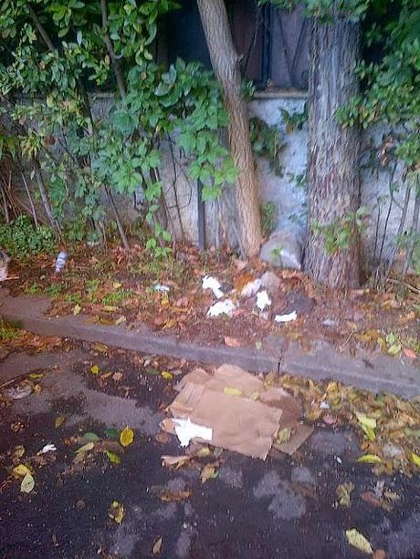 Il vecchio ristorante abbandonato occupato dai senzatetto. A 50 metri dal Cupolone di San Pietro