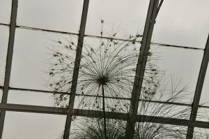 3440941796_aa301e6c93