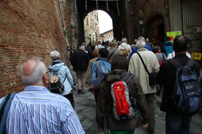 è iniziato il tartufo 2013