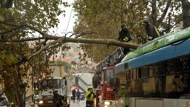 C 4 box 1371 upiFoto1F Rassegna stampa del 12 novembre 2013: maltempo in Italia, caos Alitalia, proposta deduzioni Irpef