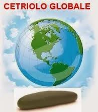 Il Cetriolo Globale (scientific version)