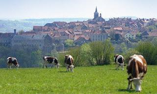 Collaborazione con l'azienda Les Anis de Flavighy