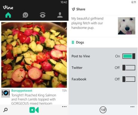 Vine 1 530x441 Download Vine per Windows Phone