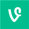  Vine arriva finalmente su WP8   link download