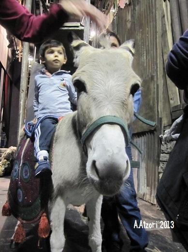 Un’asinella al Lirico di Cagliari