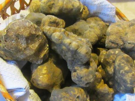 Mostra Mercato del Tartufo Bianco delle Crete Senesi