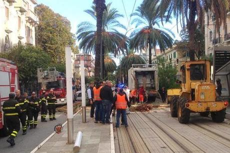 MESSINA - DOMANI LA FESTA DEGLI ALBERI, IERI IL FUNERALE DELLE PALME