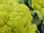 Broccolo”, meravigliosa figura geometrica