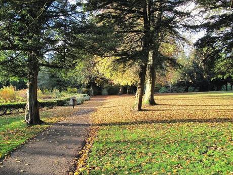 Photos of the week - a glaswegian autumn