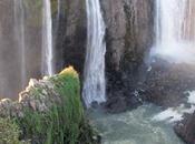 Safari Australe Ovest viaggio Africa comincia dalle Cascate Vittoria