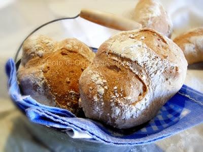 Panini al Farro con semi di lino e girasole